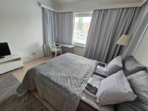 Central Accommodation at Olavinkatu